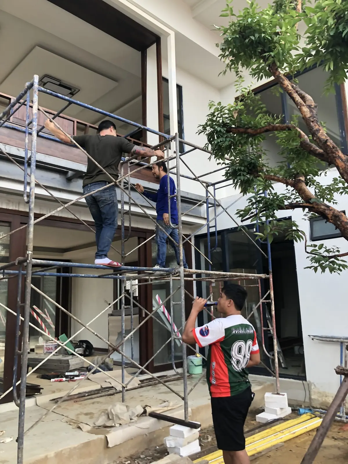 ต้นไม้หน้าบ้านระหว่างทีมทำงานด้านบน