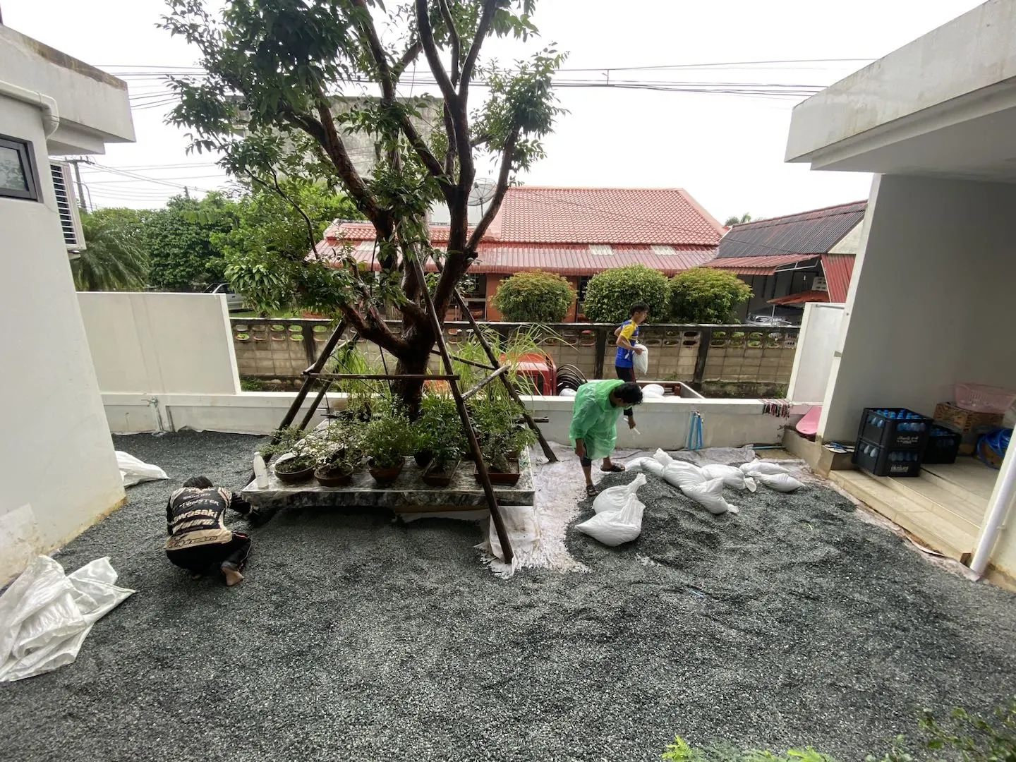 โรยกรวดลานรอบต้นไม้
