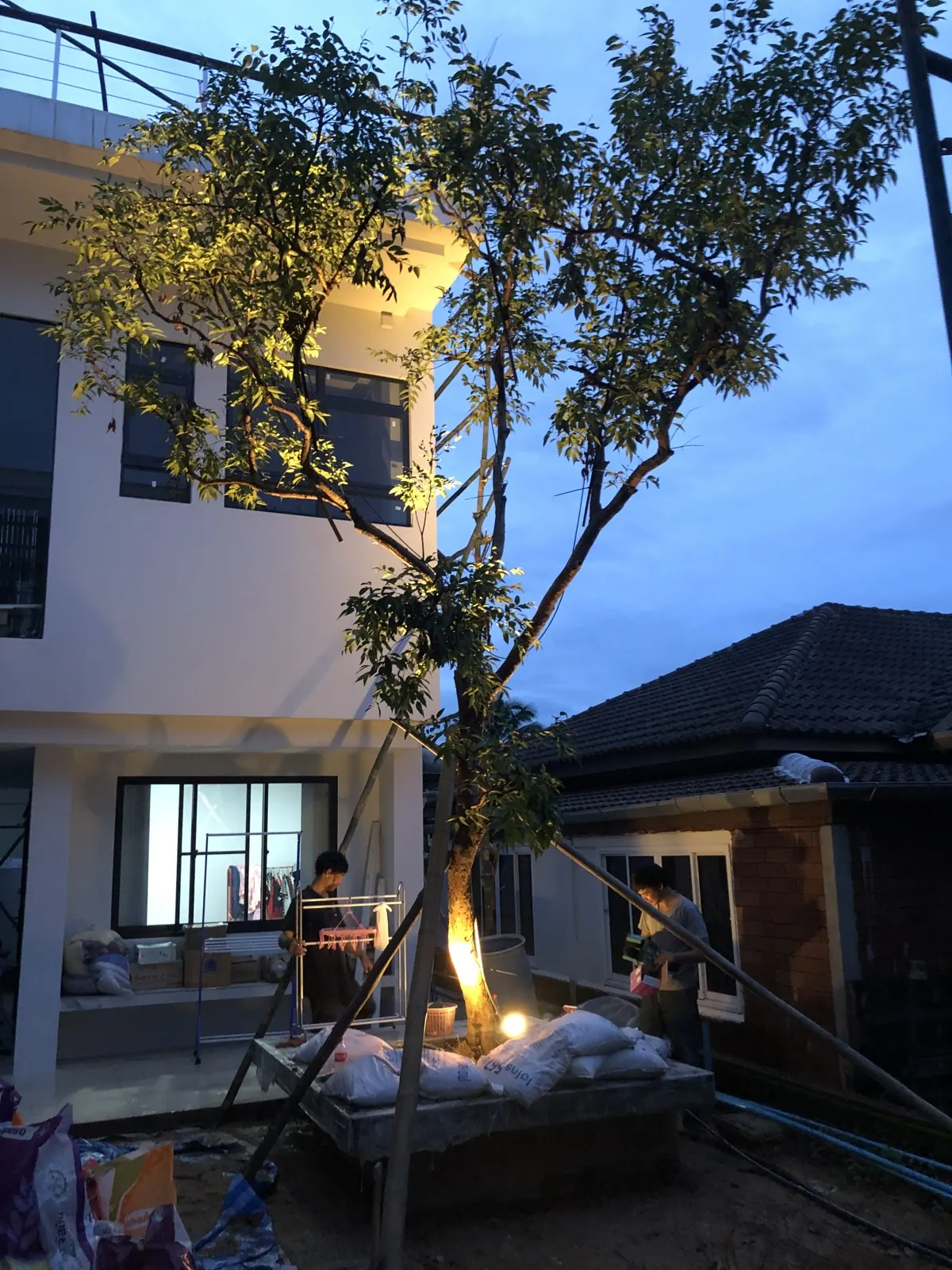 ต้นไม้หน้าบ้านตอนค่ำ เปิดไฟส่องโคนต้น